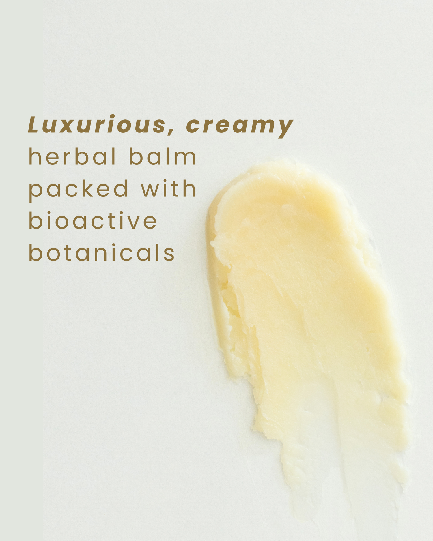 Terra Tallow Balm for skin Infused with Herbs and nourishing ingredients