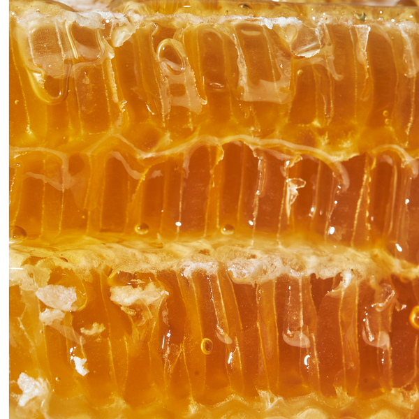 Manuka Honey MGO 100+