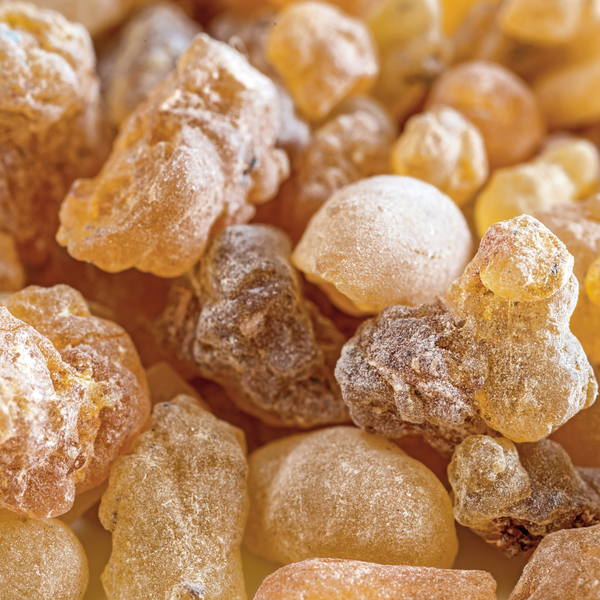 Frankincense Resin Oil 