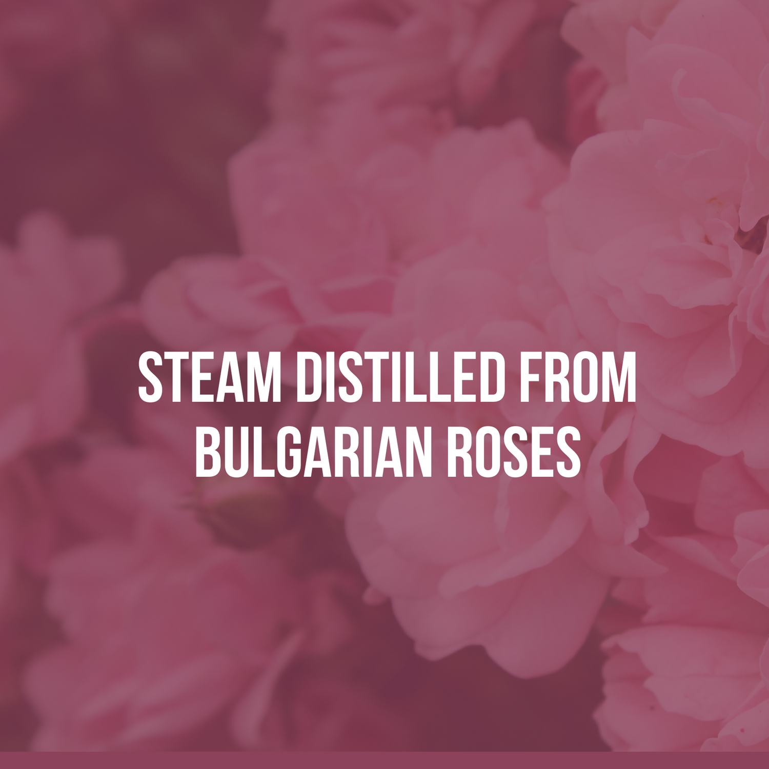 Rose Water Spray