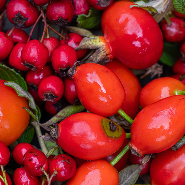 Rosehip Oil