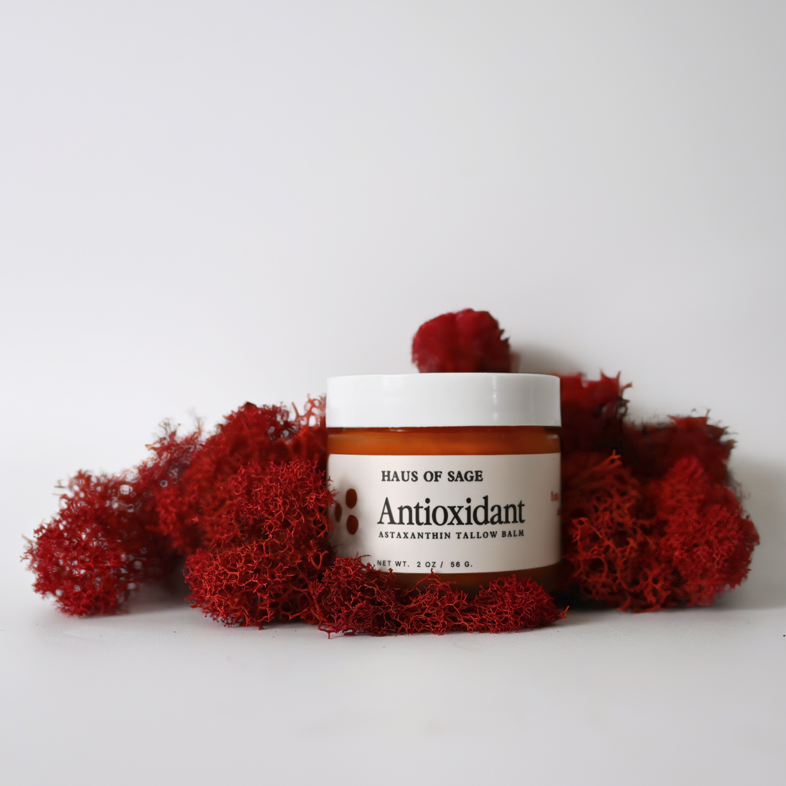 Jar of Haus of Sage Antioxidant balm with red moss on a white background
