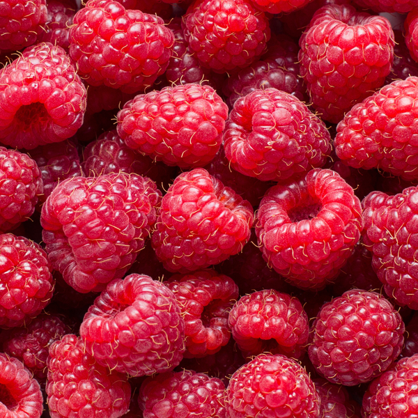 Red Raspberry Oil