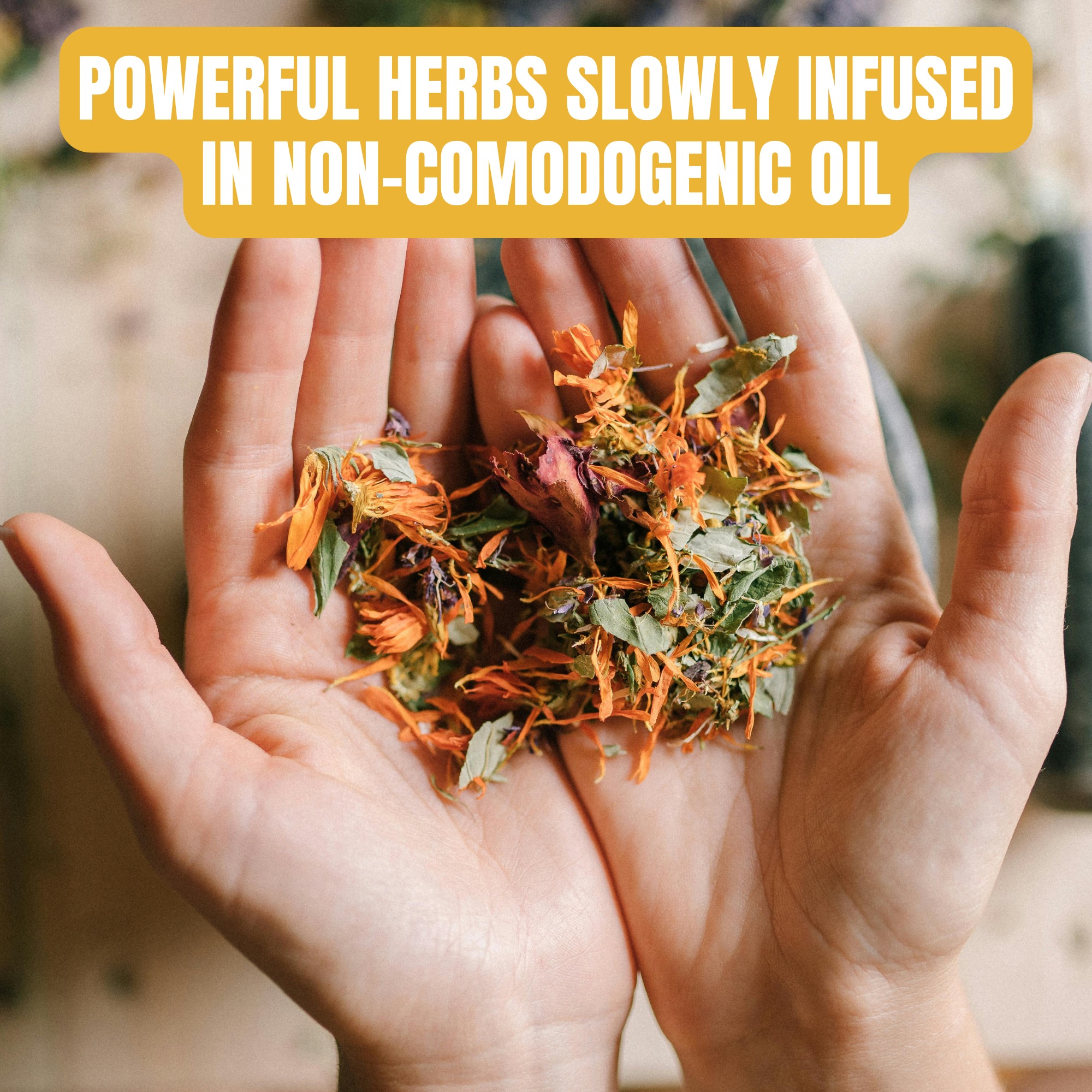 powerful herbs slowly infused in non-comodogenic oil
