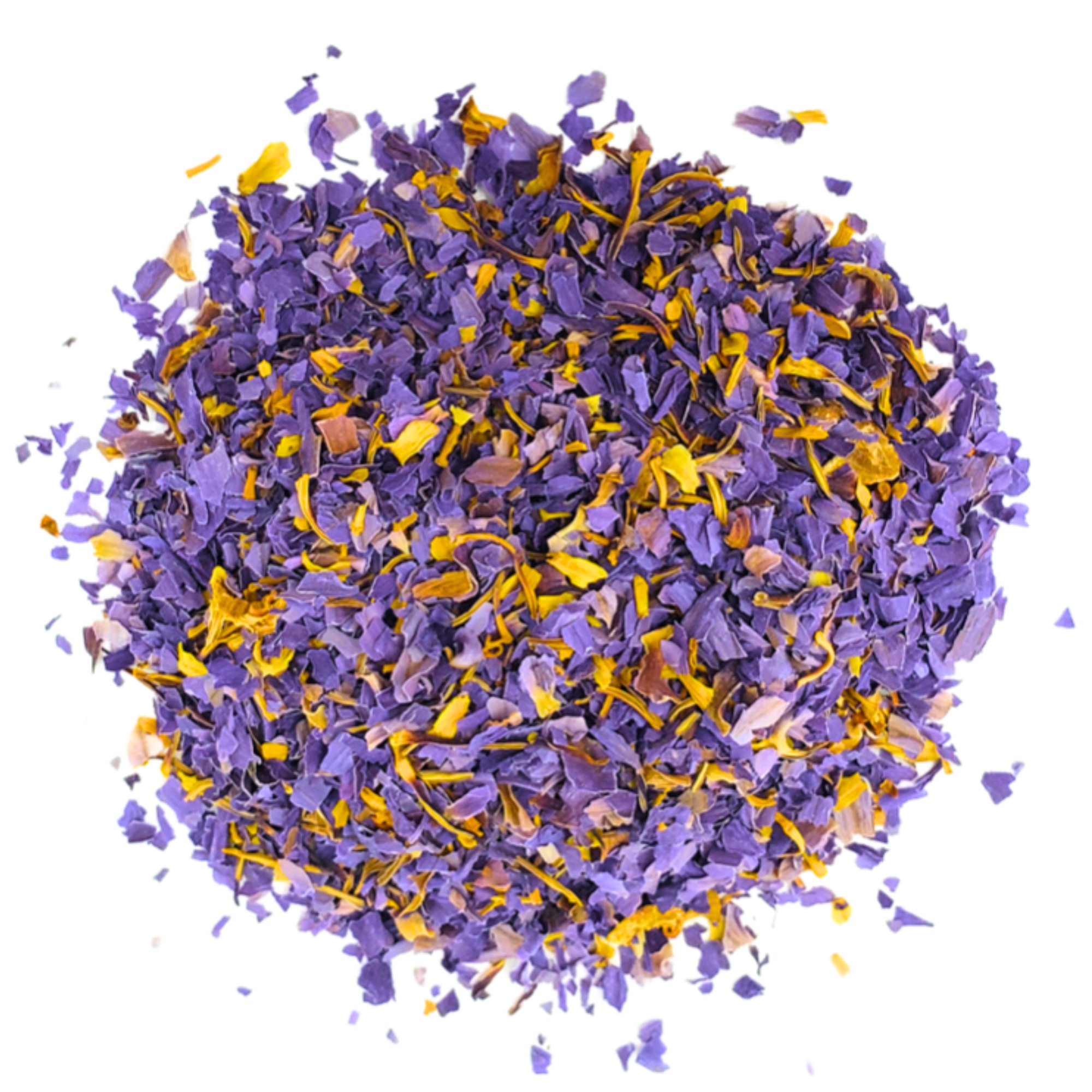 Untitled_design_-_2024-09-18T152323.882.png
